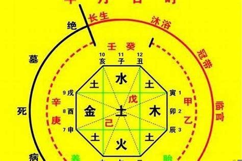 用神 水|八字入门基础 第六篇 如何判断八字喜用神